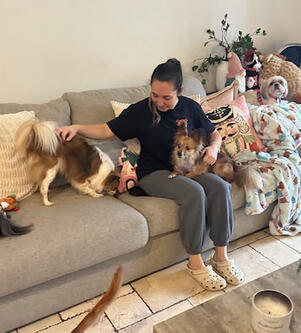 dog sitter